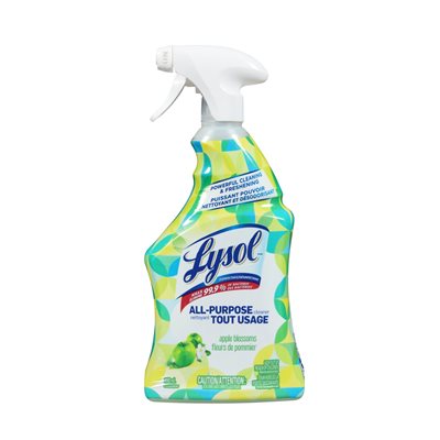 Nettoyant tout usage Lysol pomme verte, nettoyage et rafraîchissement puissants 650 mL